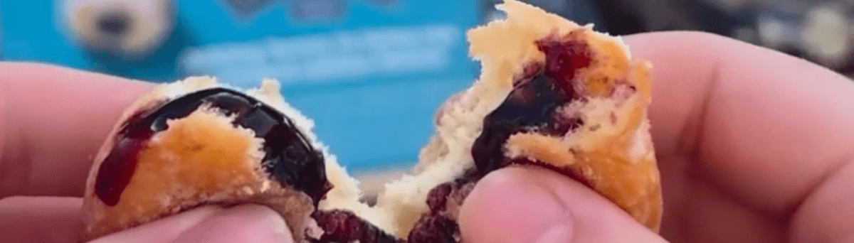 blueberry-mini-beignet-festival-exclusive-hero-2